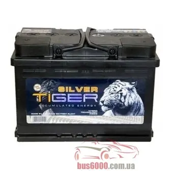 Tiger Silver 6СТ-98 Аз Asia (AFS098-S01)